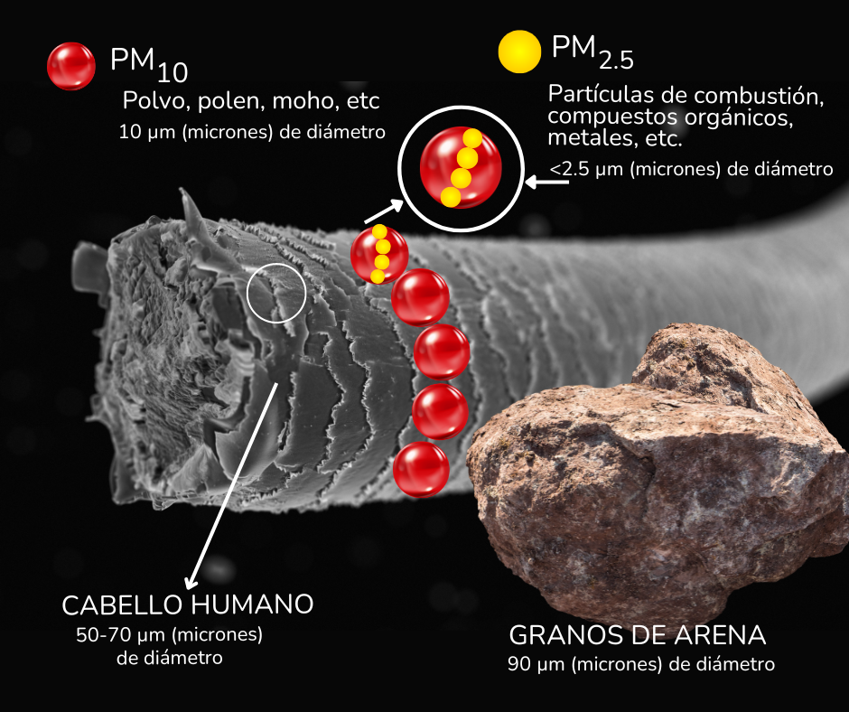 ilustración donde se compara el grueso del PM2,5 con otros materiales