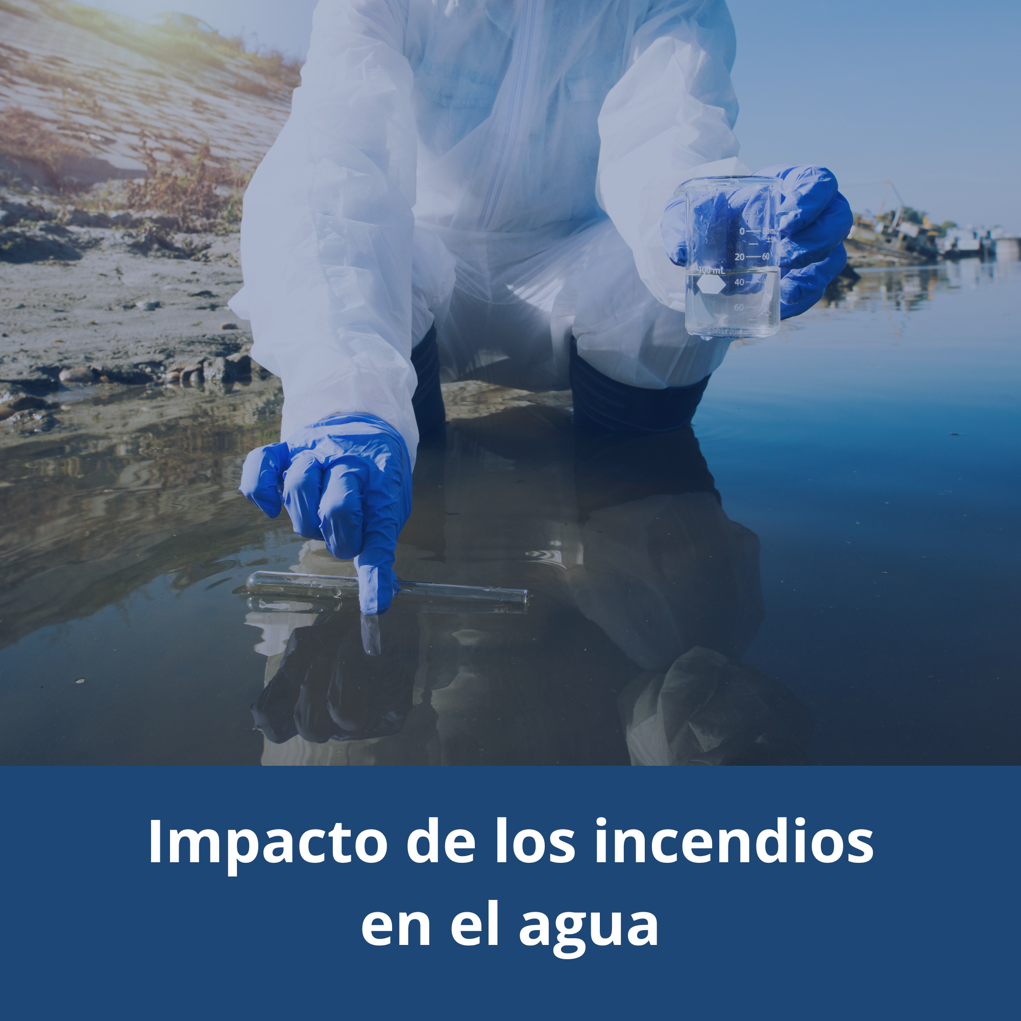 Promo de artículo para sidebar