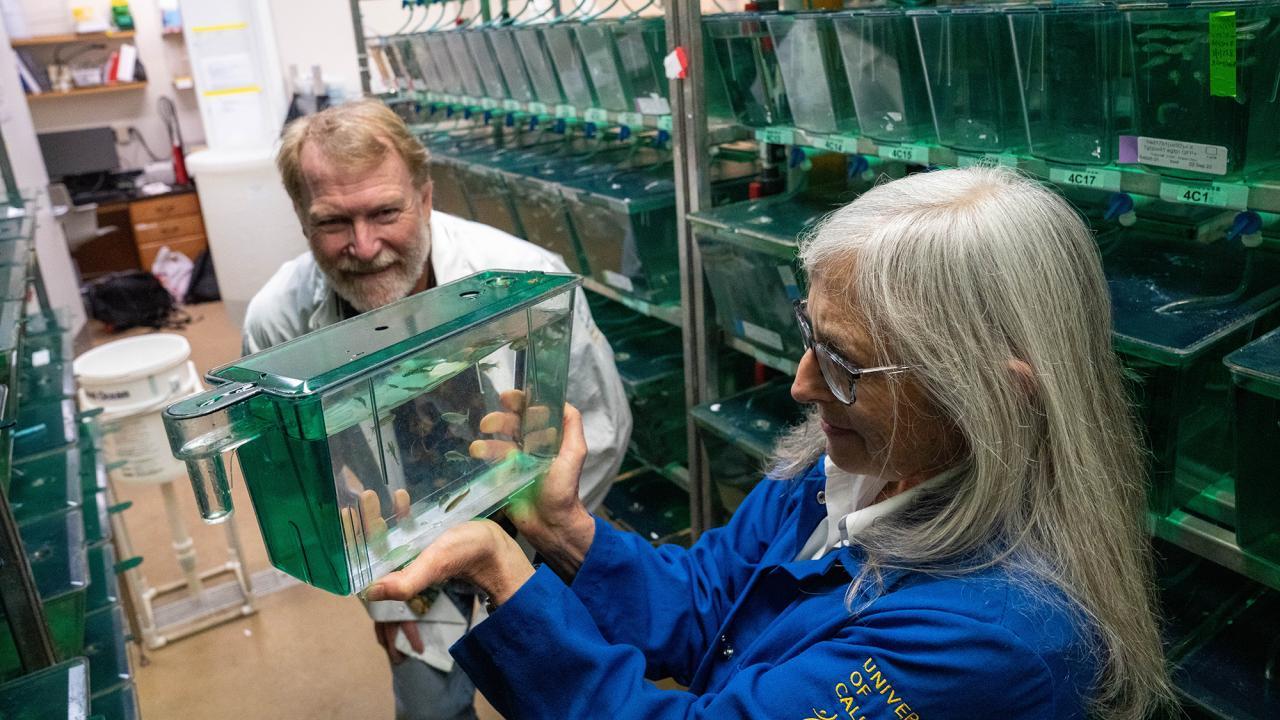 Científicos observando peces en laboratorio