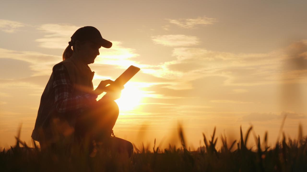 científico en el campo tomando notas